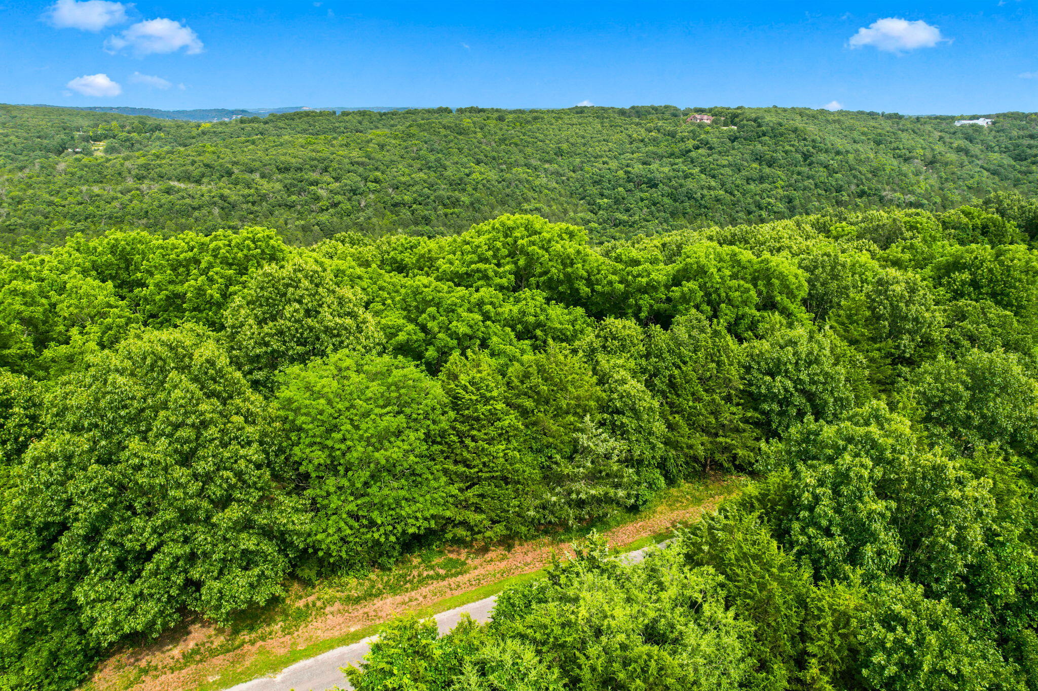Lot 12 Kingsgate Road Lampe, MO 65681 - Photo 14 of 33 10-web-or-mls-DJI_0951