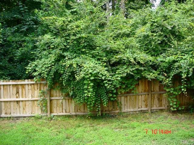 4608 Drewbridge Way Raleigh, NC 27604 - Photo 9 of 12