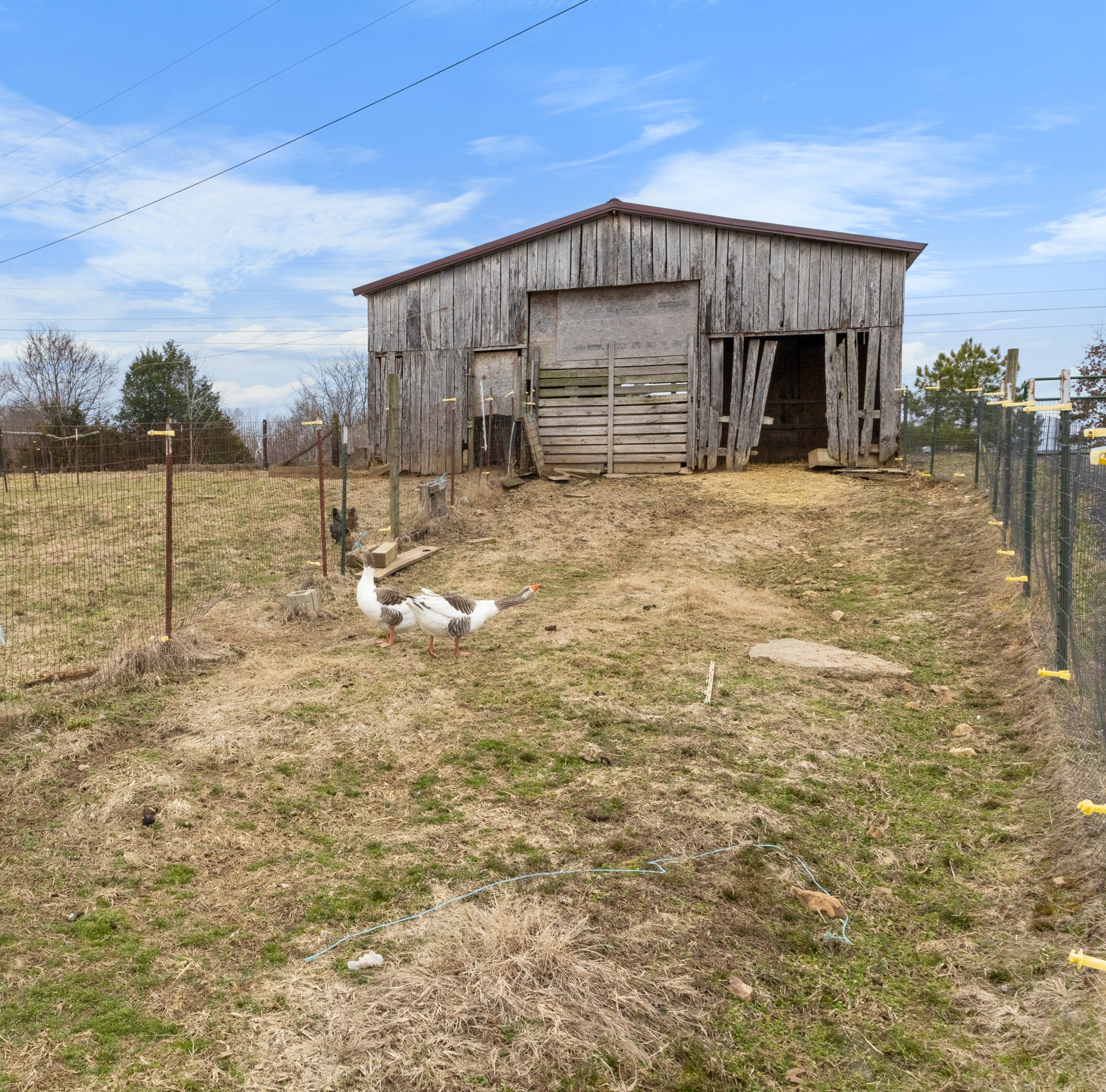 424 Walker Ridge Road Big Rock, TN 37023 - Photo 33 of 53