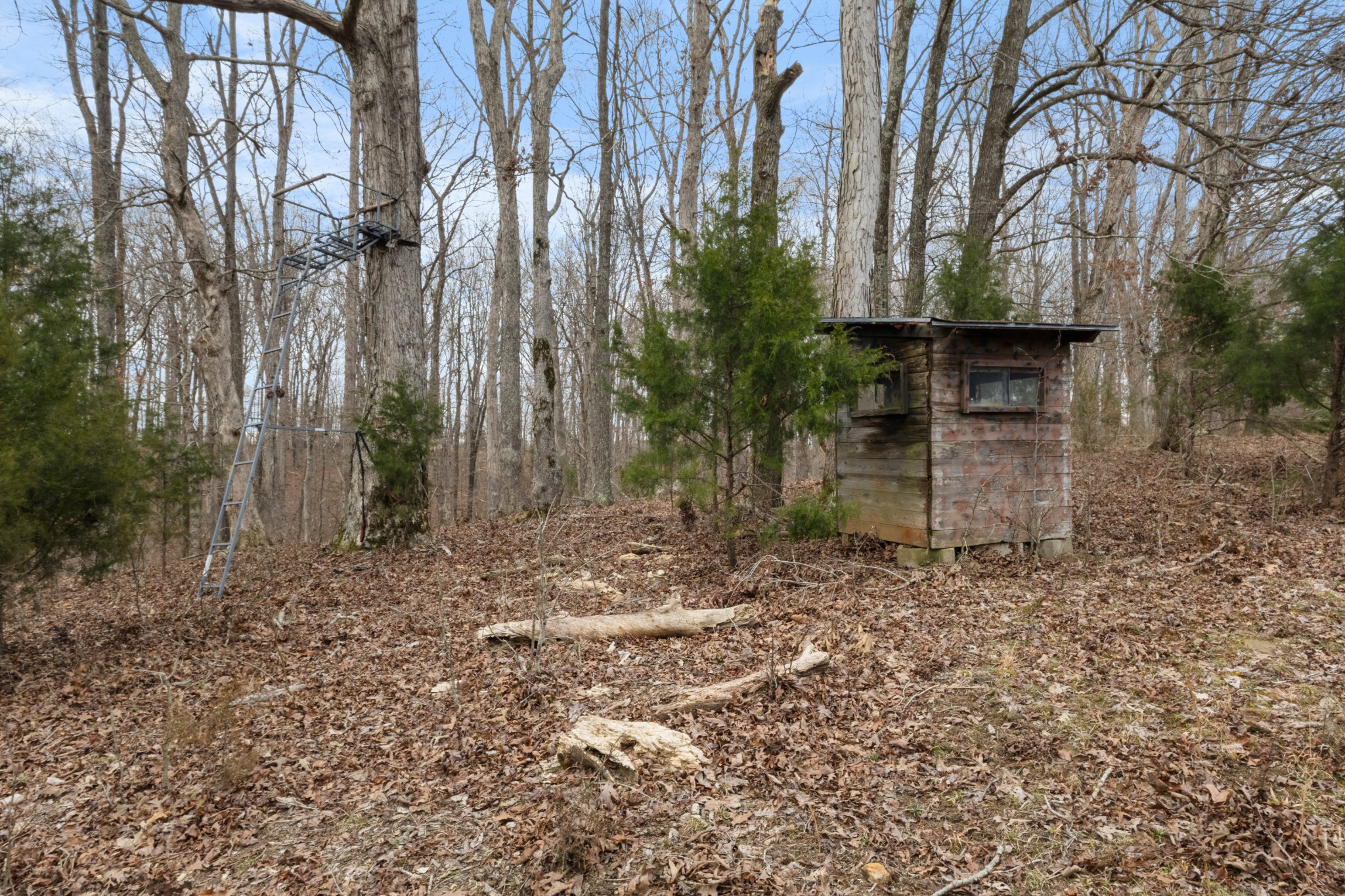 424 Walker Ridge Road Big Rock, TN 37023 - Photo 39 of 53