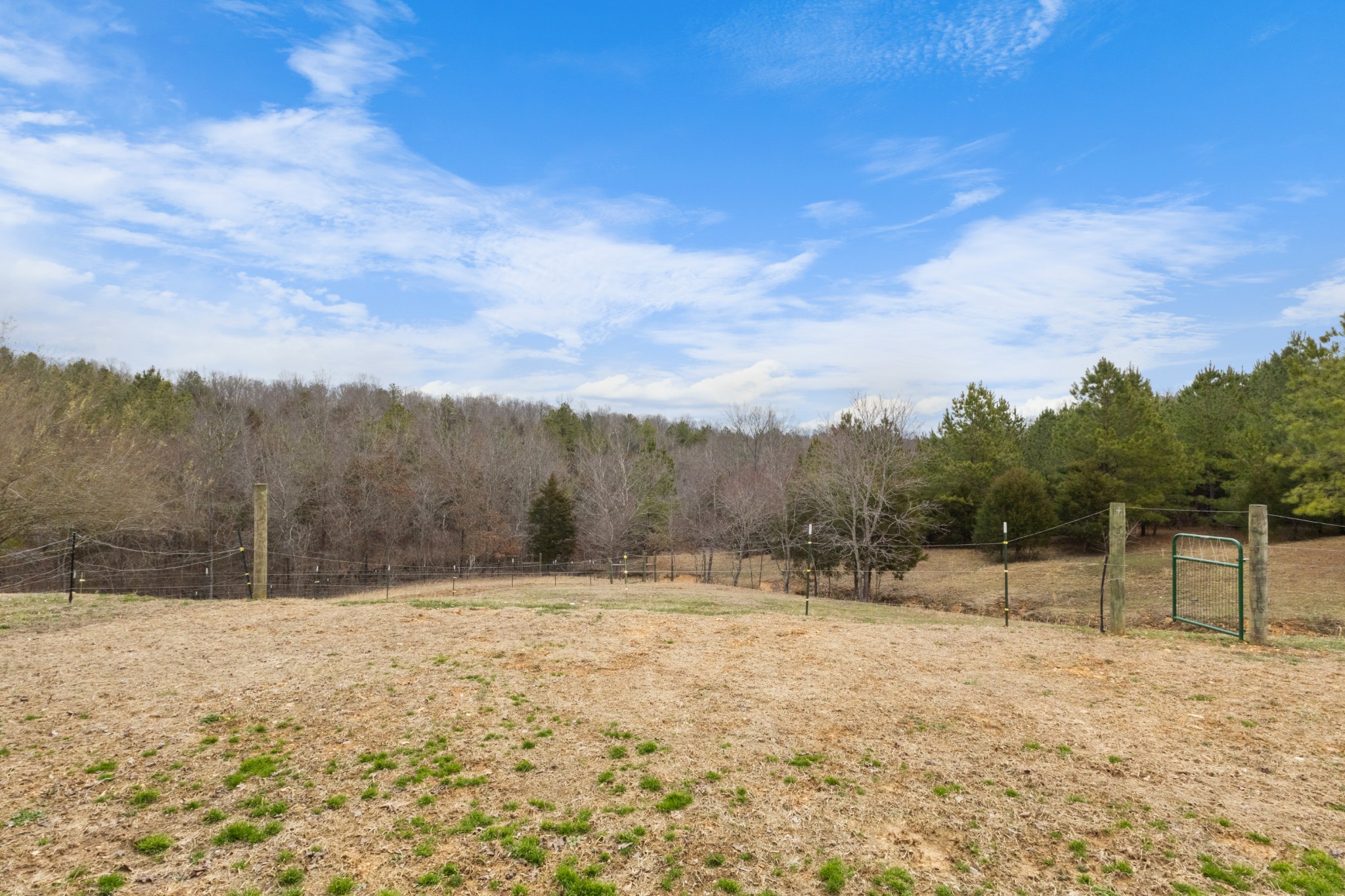 424 Walker Ridge Road Big Rock, TN 37023 - Photo 41 of 53