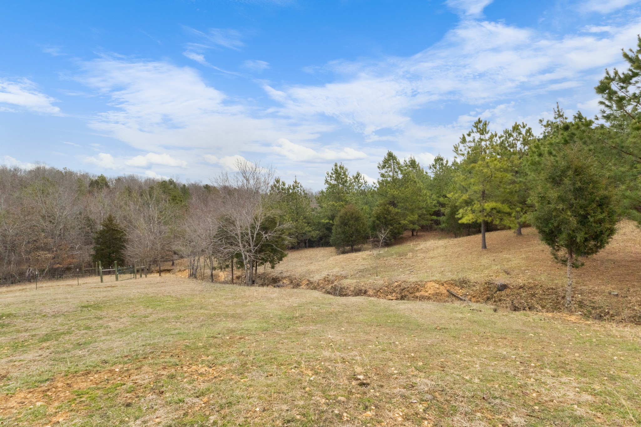 424 Walker Ridge Road Big Rock, TN 37023 - Photo 43 of 53