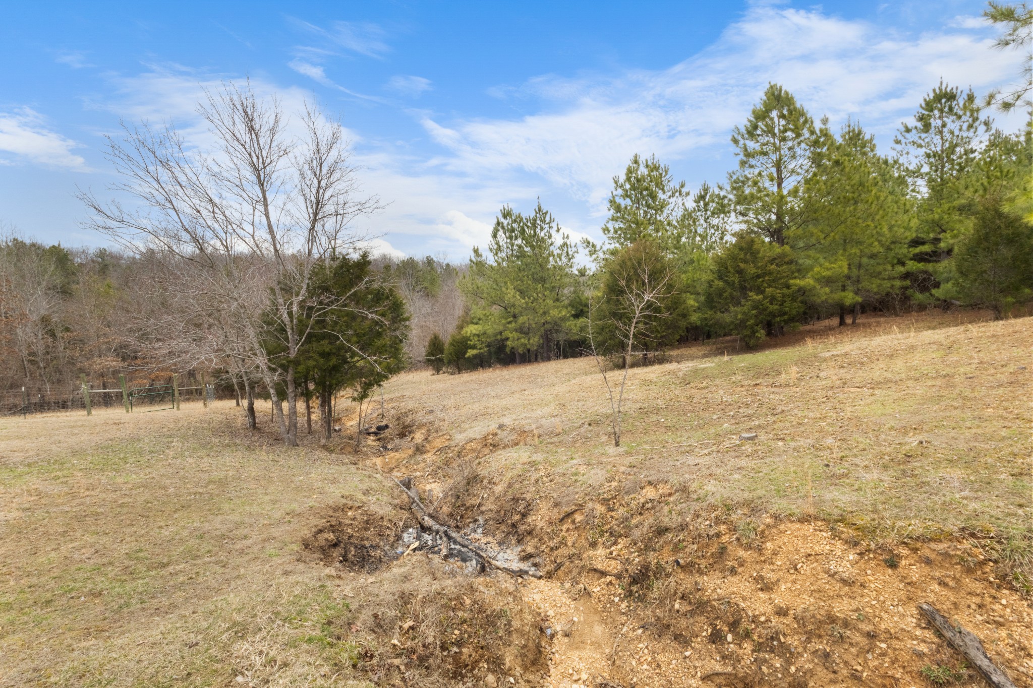 424 Walker Ridge Road Big Rock, TN 37023 - Photo 44 of 53