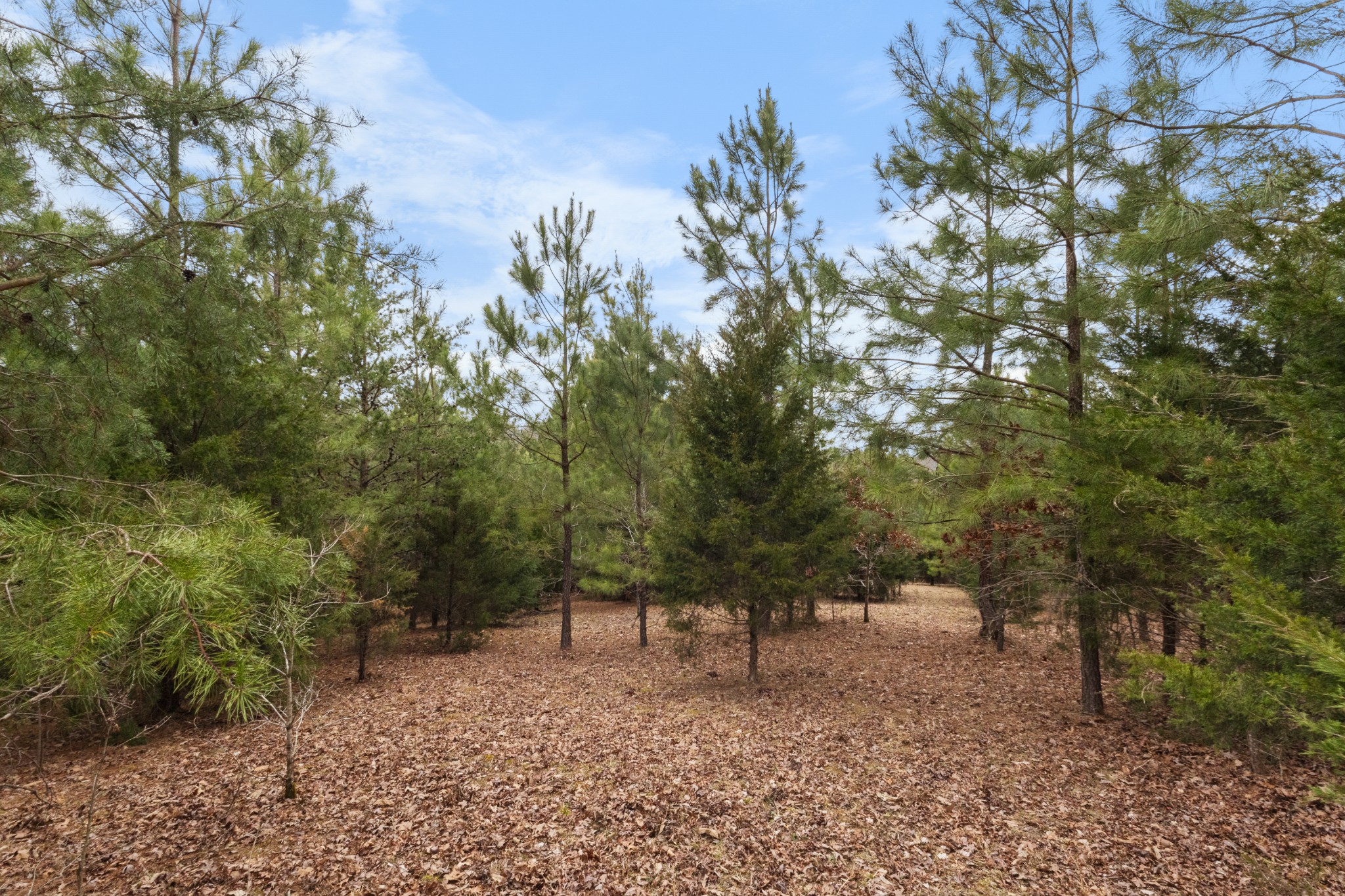 424 Walker Ridge Road Big Rock, TN 37023 - Photo 46 of 53