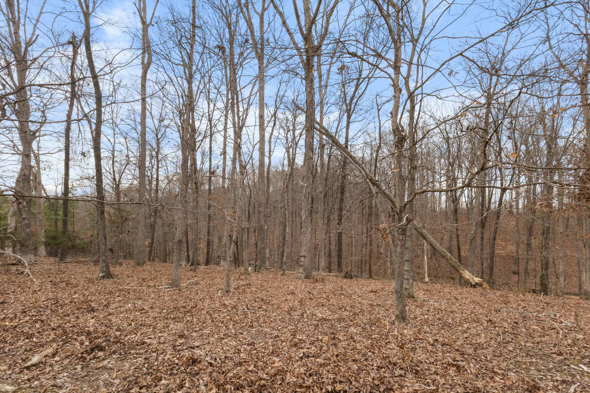 424 Walker Ridge Road Big Rock, TN 37023 - Photo 47 of 53