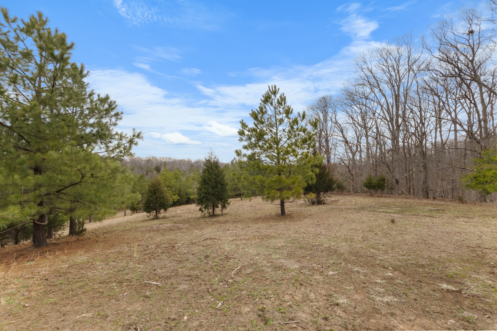 424 Walker Ridge Road Big Rock, TN 37023 - Photo 48 of 53