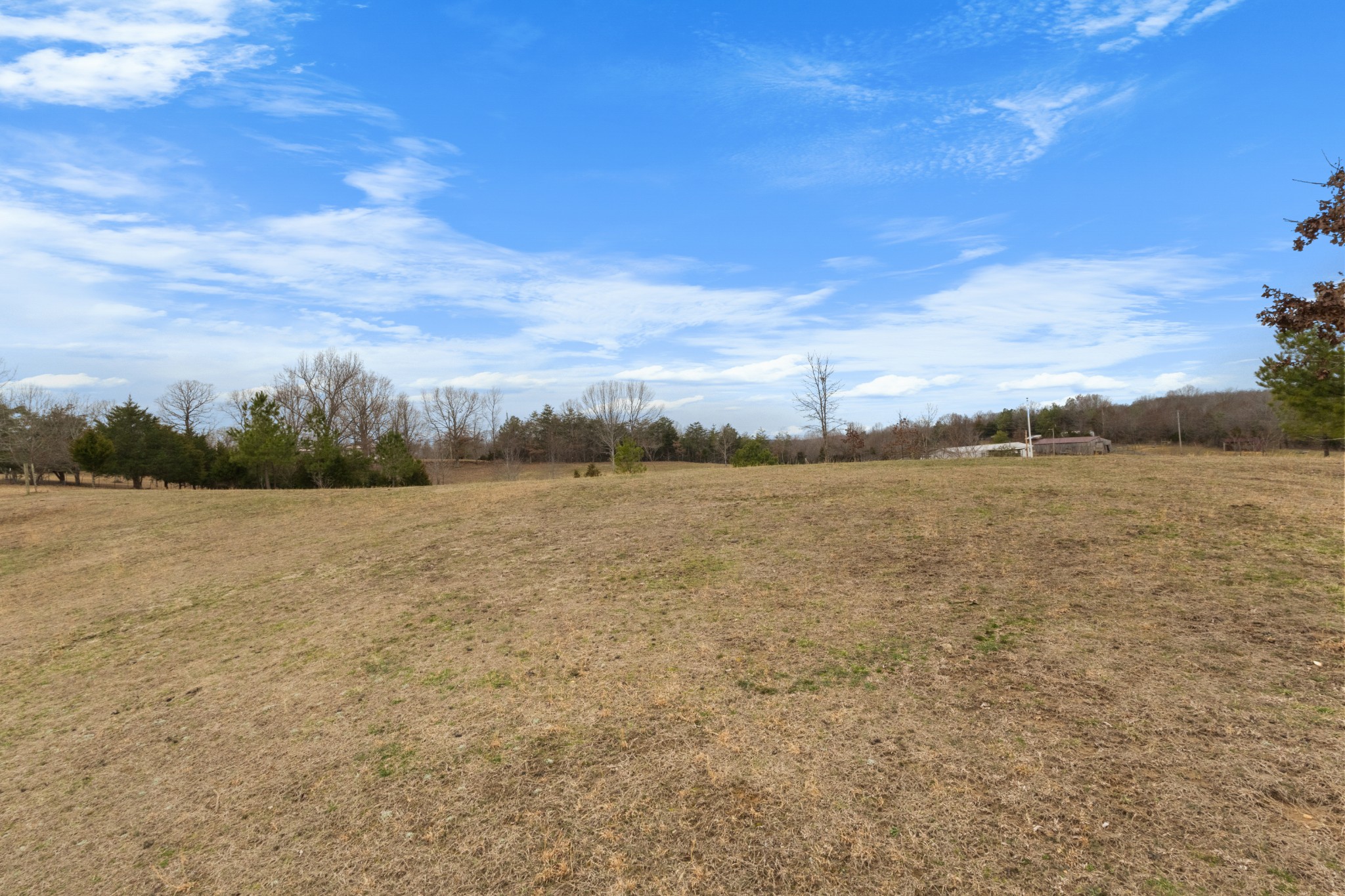 424 Walker Ridge Road Big Rock, TN 37023 - Photo 49 of 53