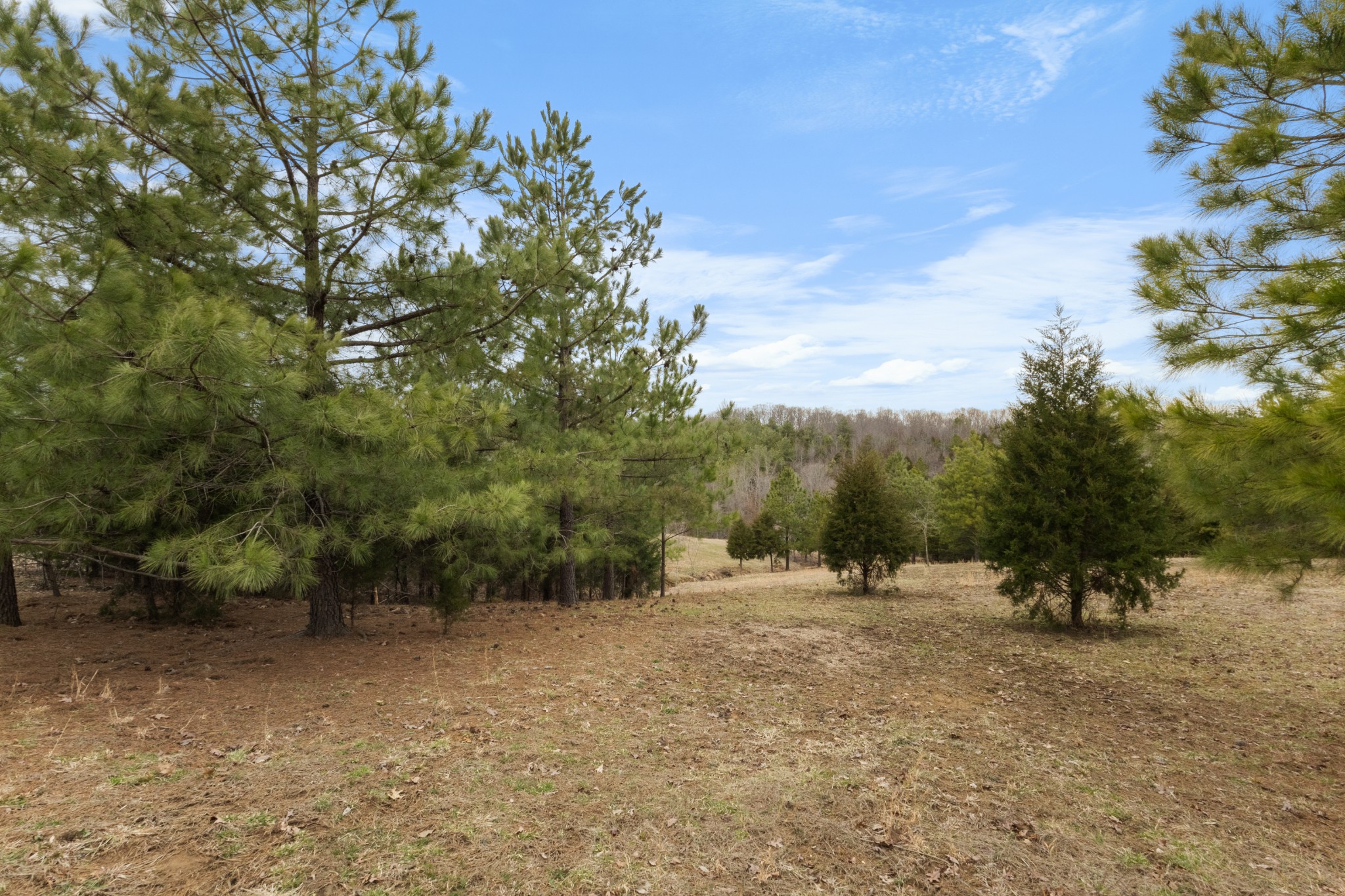 424 Walker Ridge Road Big Rock, TN 37023 - Photo 50 of 53