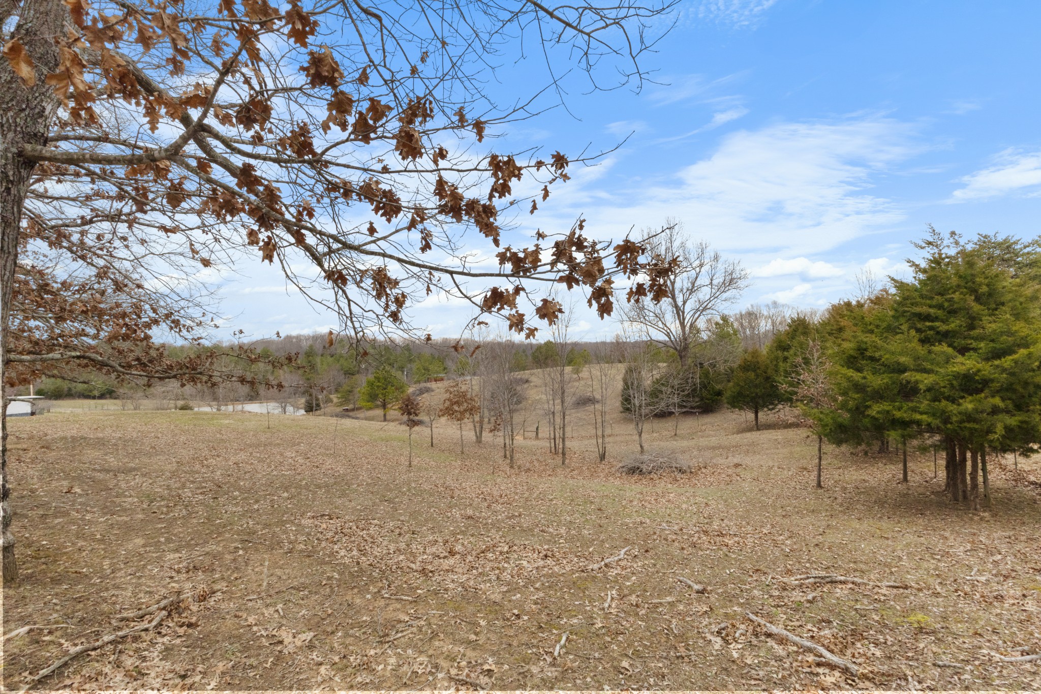 424 Walker Ridge Road Big Rock, TN 37023 - Photo 53 of 53