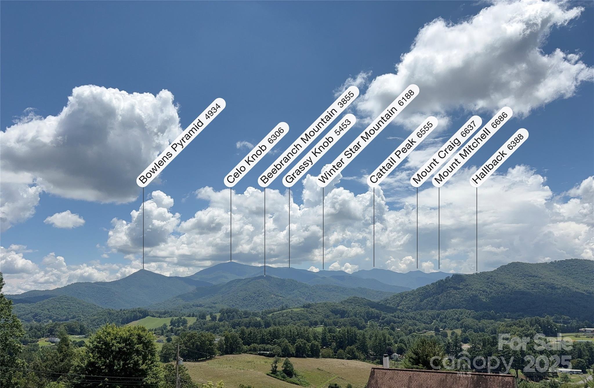 0 Wheeler Hills Road Burnsville, NC 28714 - Photo 3 of 10