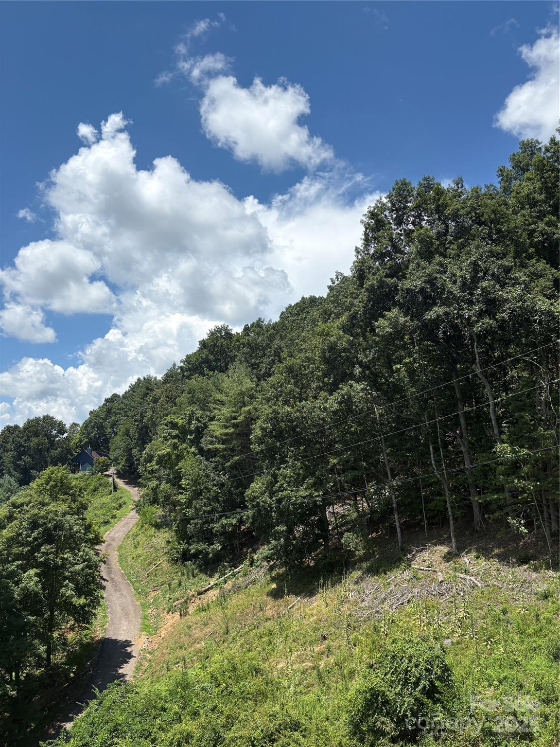 0 Wheeler Hills Road Burnsville, NC 28714 - Photo 5 of 10