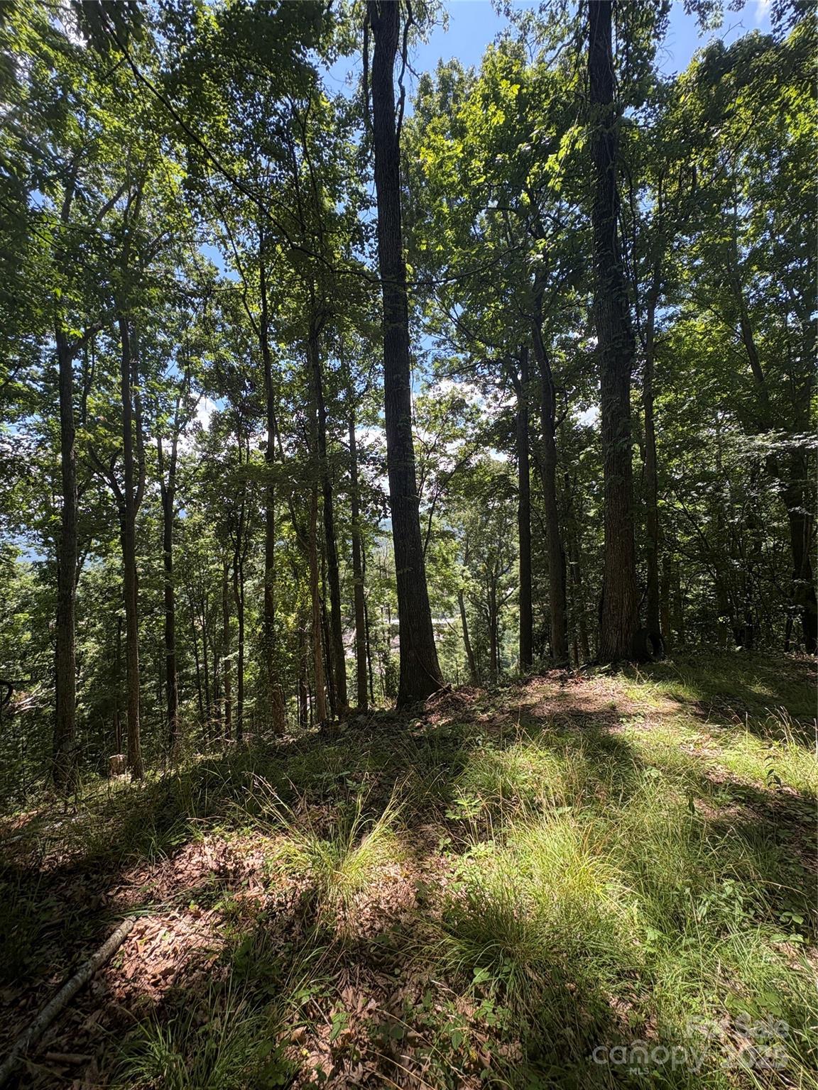 0 Wheeler Hills Road Burnsville, NC 28714 - Photo 6 of 10