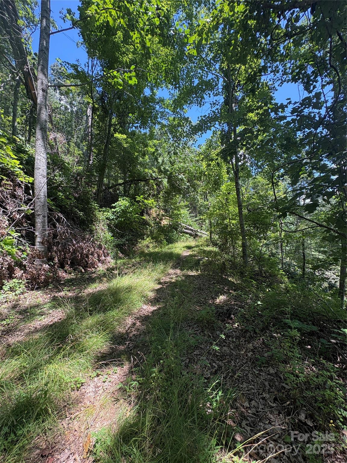 0 Wheeler Hills Road Burnsville, NC 28714 - Photo 7 of 10