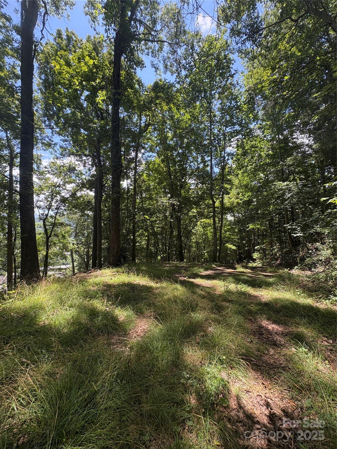 0 Wheeler Hills Road Burnsville, NC 28714 - Photo 8 of 10