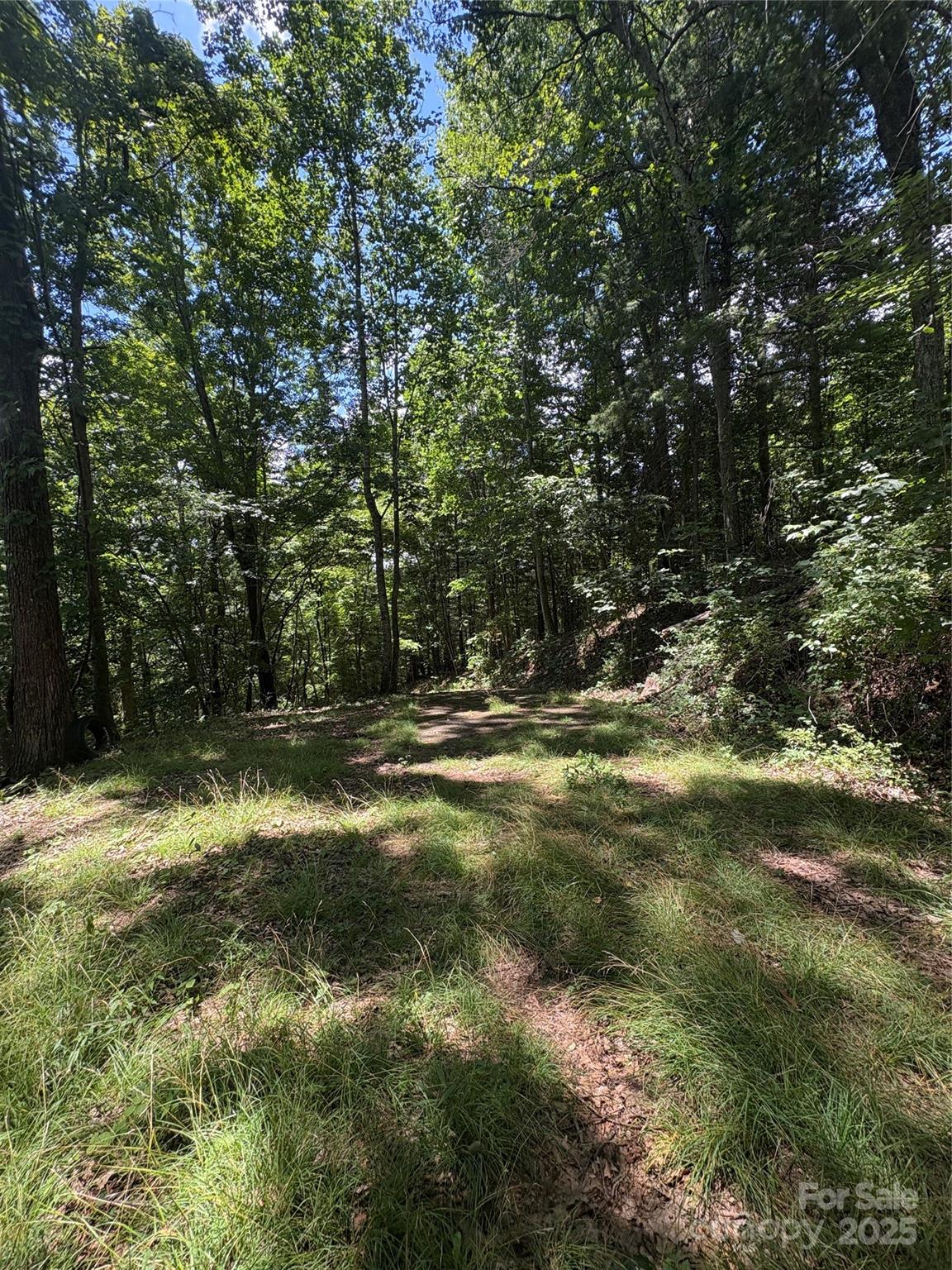 0 Wheeler Hills Road Burnsville, NC 28714 - Photo 9 of 10