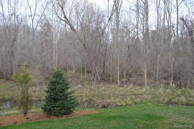 545 Stone Ridge Court Almont, MI 48003 - Photo 19 of 25 DSC_0790.jpg