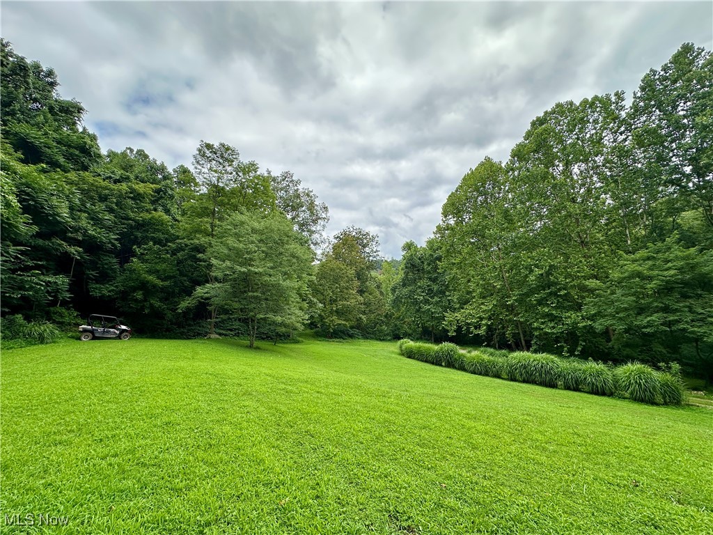 325 North Fork Road New Matamoras, OH 45767 - Photo 28 of 50 View of green lawn