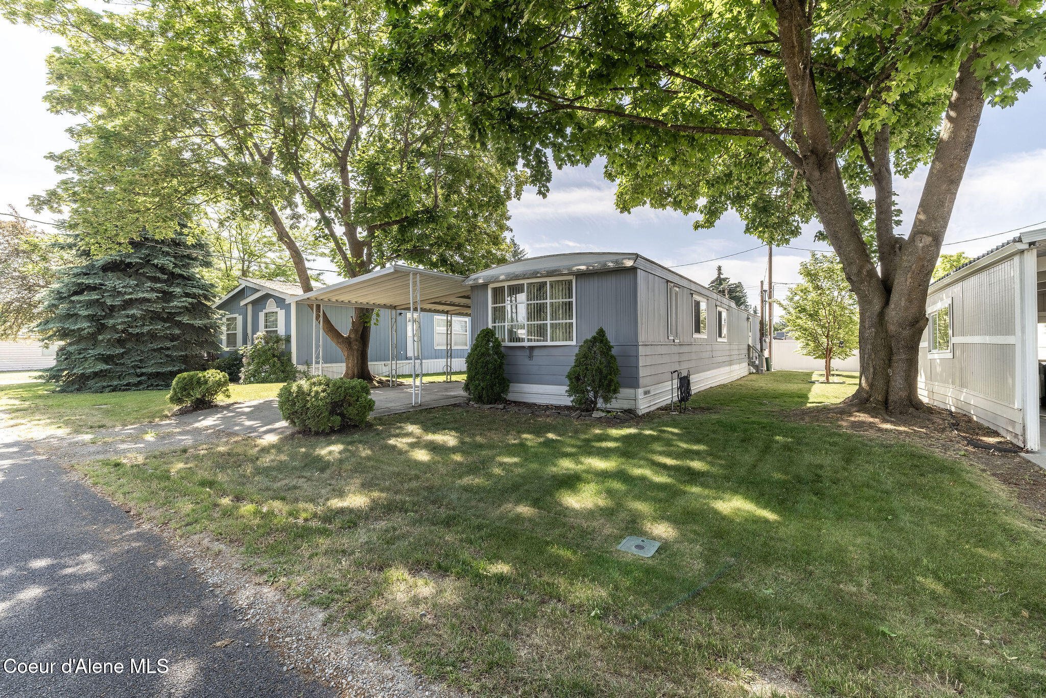 532 Myriah Loop Coeur D'Alene, ID 83815 - Photo 24 of 37 Mature Trees