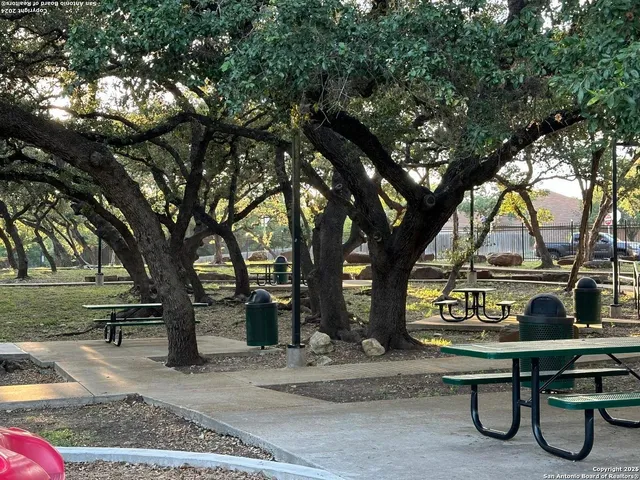 a view of a park with large trees
