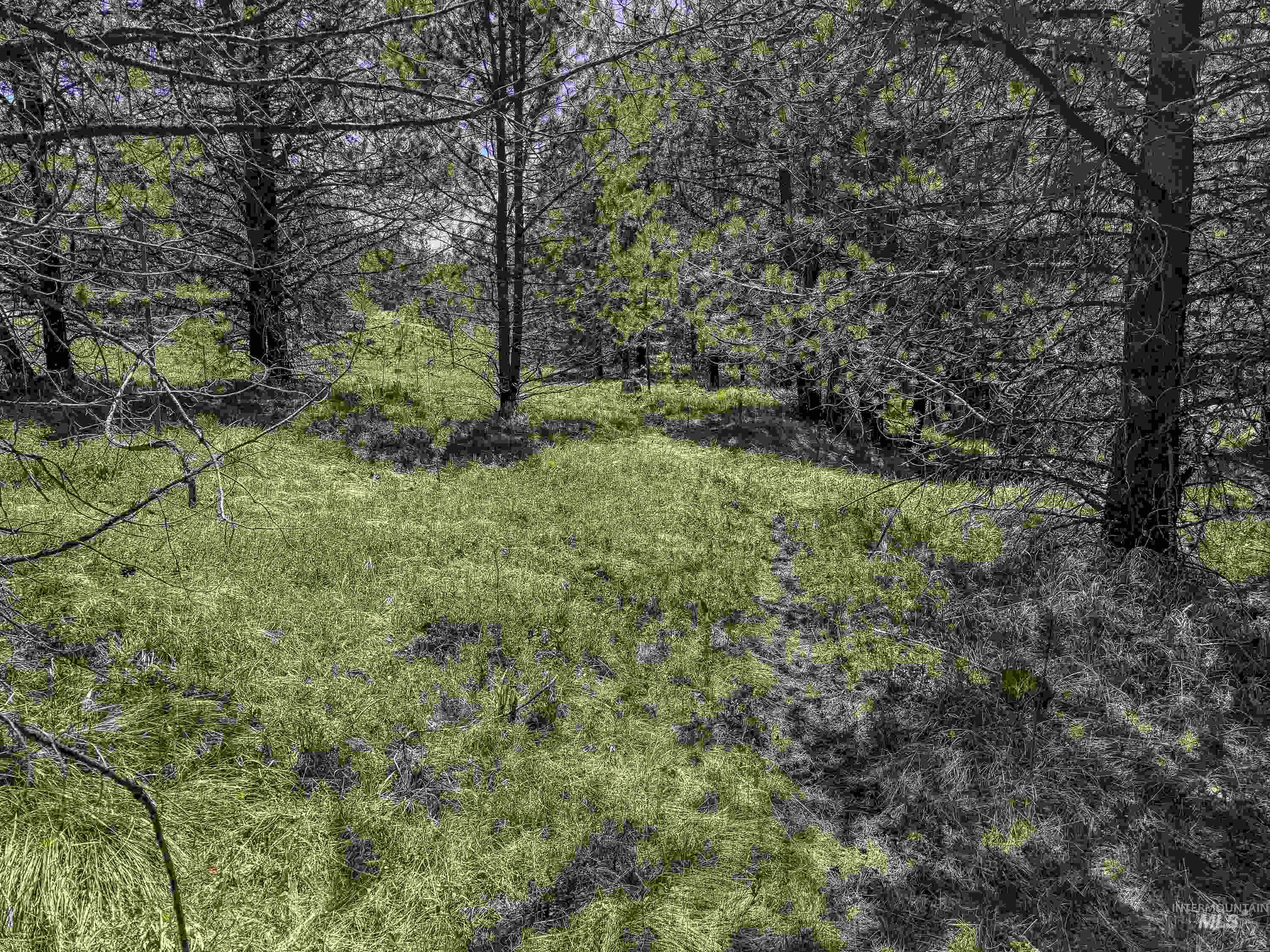 Tbd Deer Creek Road Winchester, ID 83555 - Photo 29 of 39