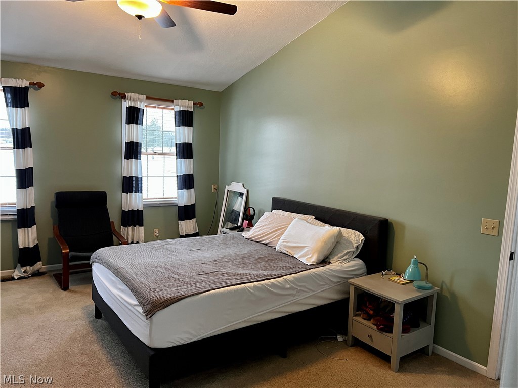 11841 Cook Road Columbiana, OH 44408 - Photo 17 of 35 Gallery Image 17