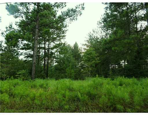 3 Acres Ida Miller Road Lucedale, MS 39452 - Photo 1 of 10 Primary Photo