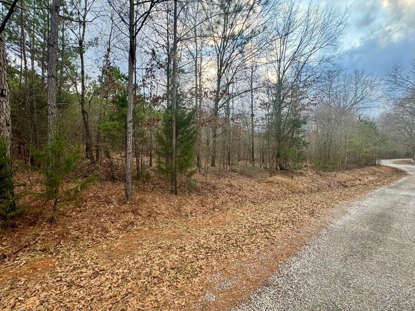 8 Sartain Road Dennis, MS 38838 - Photo 5 of 5 20250208212936841295000000-o