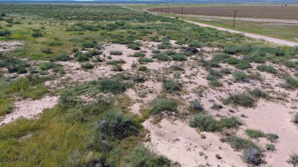 a view of a forest with a street