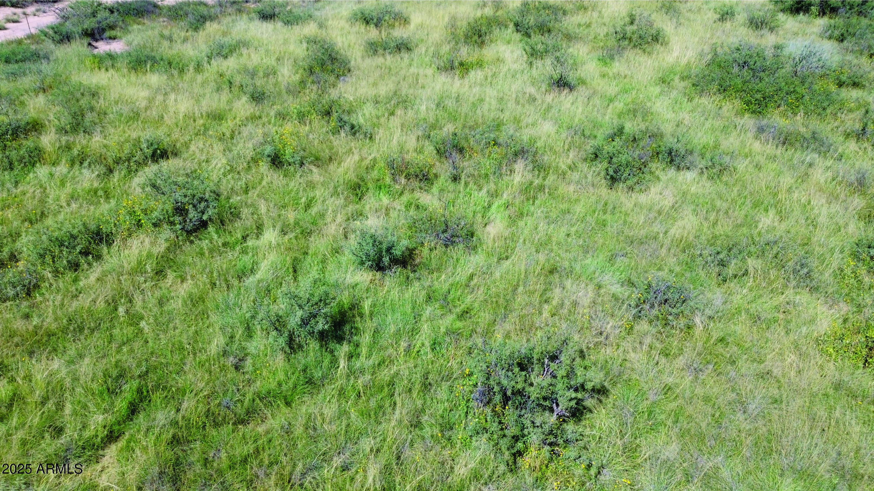 36.97-acre West Latimer Road, Unit 1 McNeal, AZ 85617 - Photo 19 of 36 DJI_0995.JPG