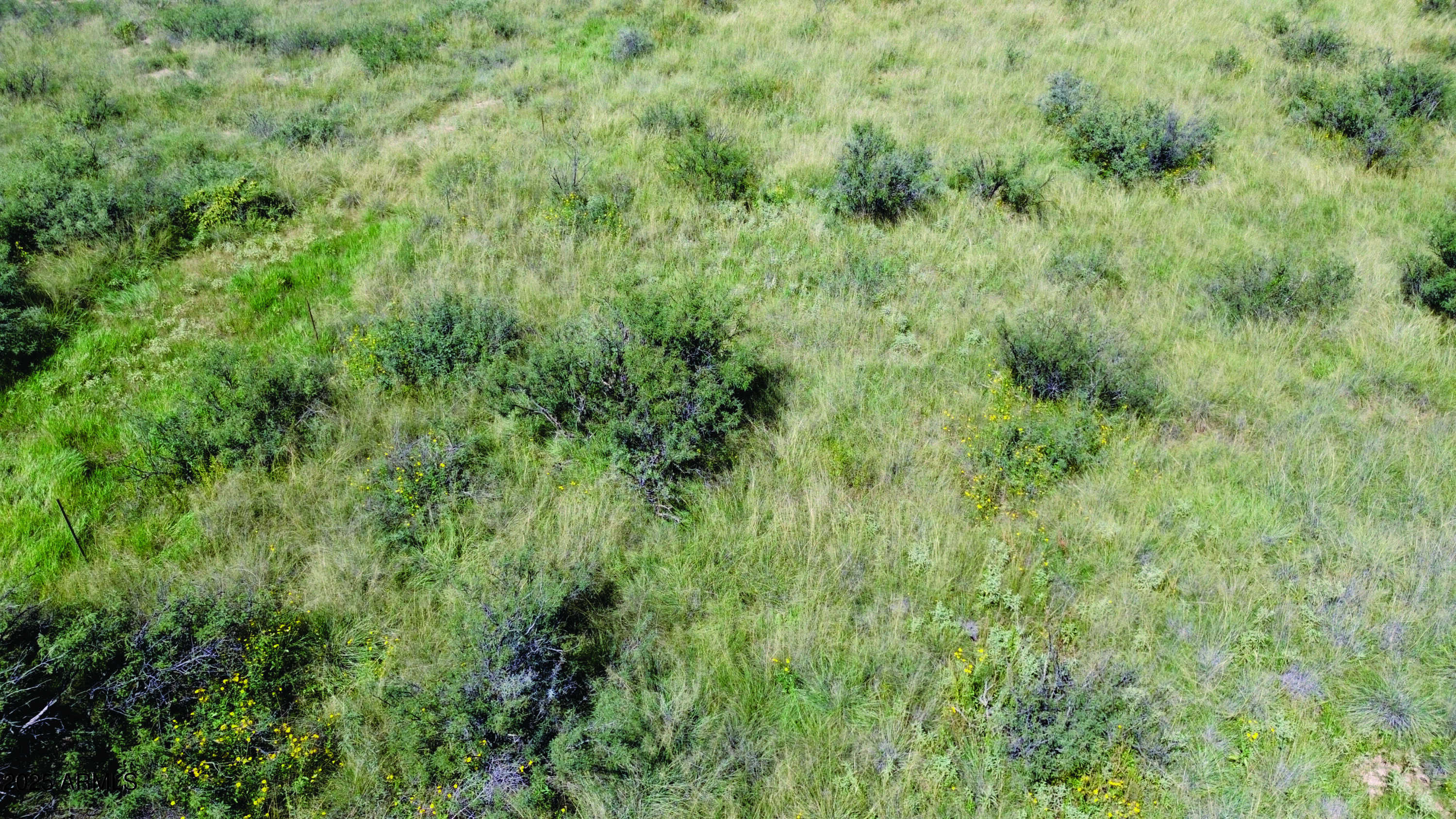 36.97-acre West Latimer Road, Unit 1 McNeal, AZ 85617 - Photo 21 of 36 DJI_0997.JPG