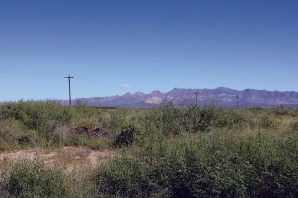 a view of a lake in middle of forest