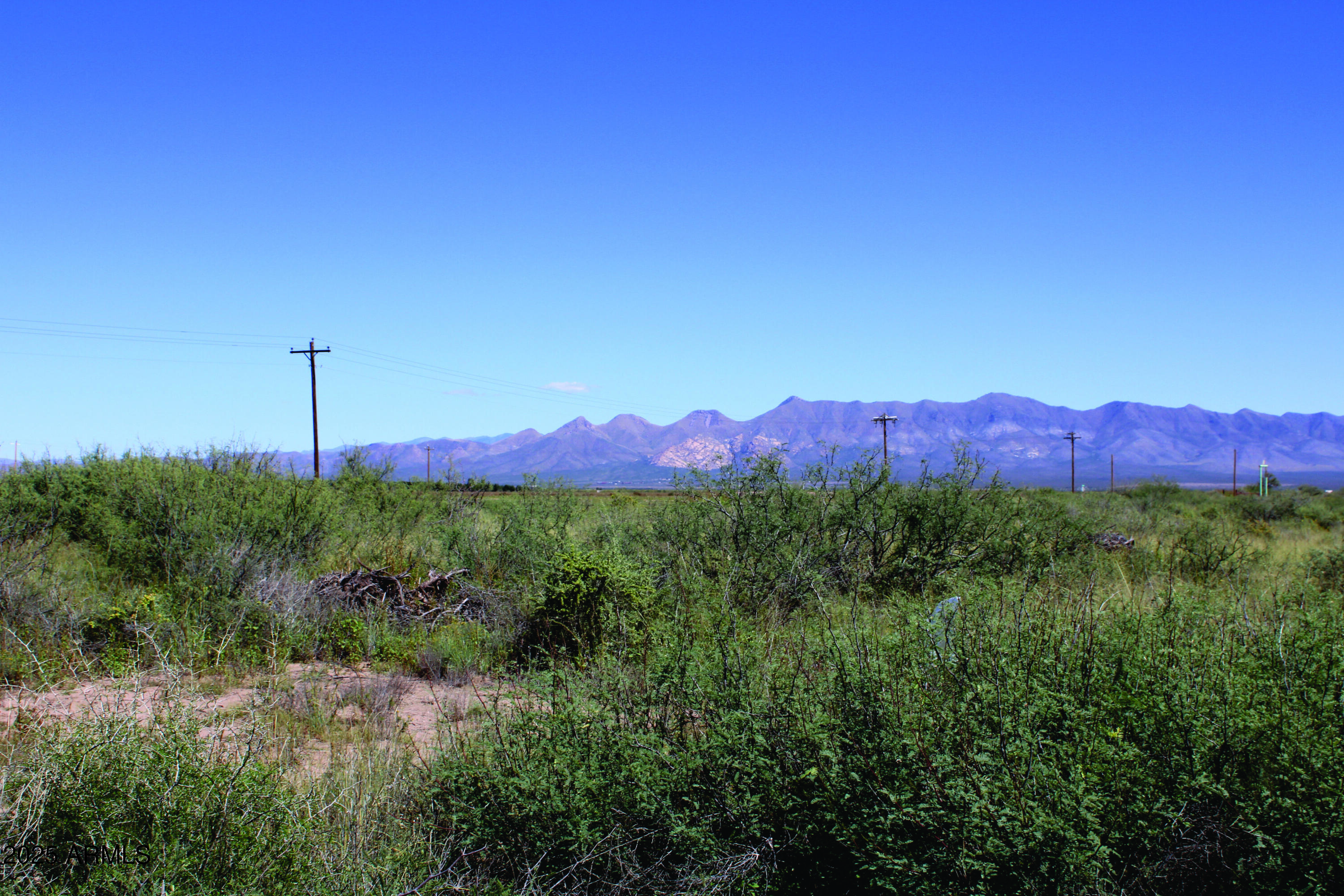 36.97-acre West Latimer Road, Unit 1 McNeal, AZ 85617 - Photo 29 of 36 IMG_0649.JPG