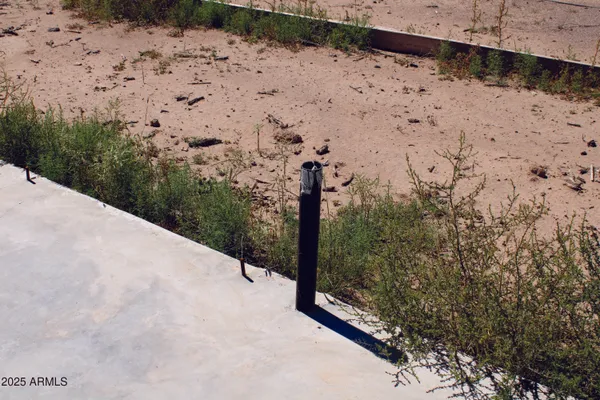 a view of a dry yard with trees