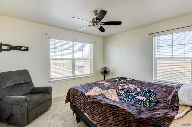 a bedroom with a bed couch and window