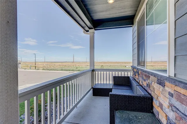 a view of big yard and large trees