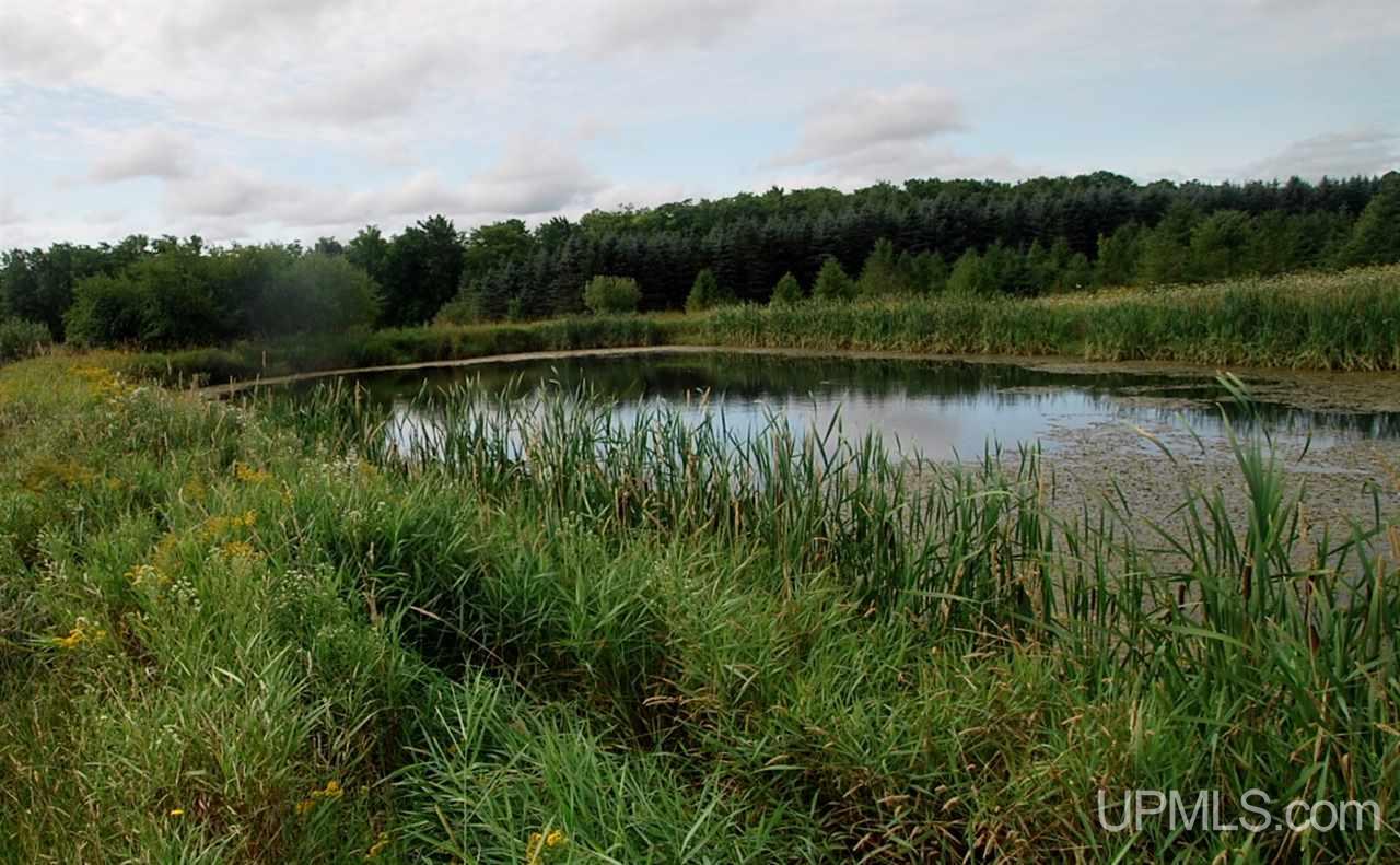 15978 Bellaire Road Baraga, MI 49908 - Photo 27 of 35 Gallery Image 27