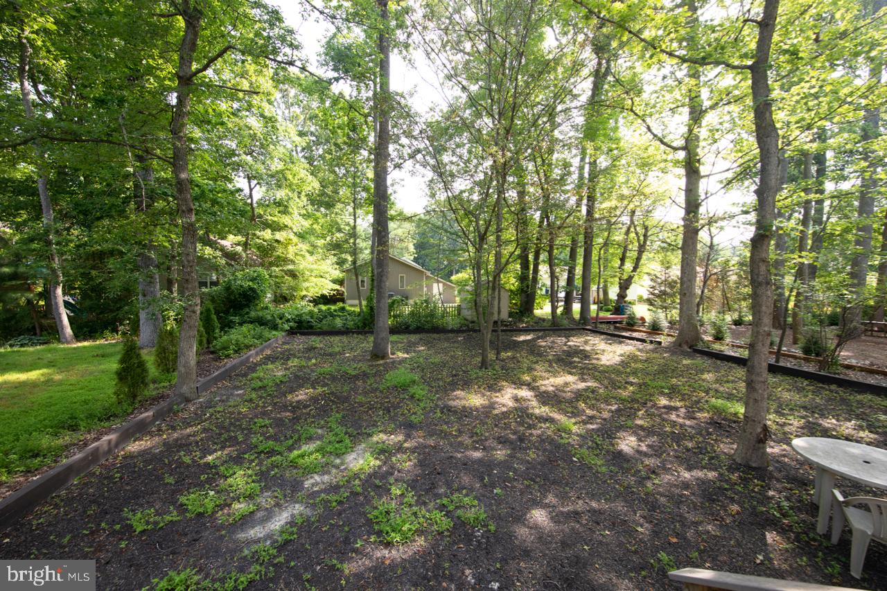 33 Gloucester Road Ocean Pines, MD 21811 - Photo 3 of 31 Spacious Back Yard