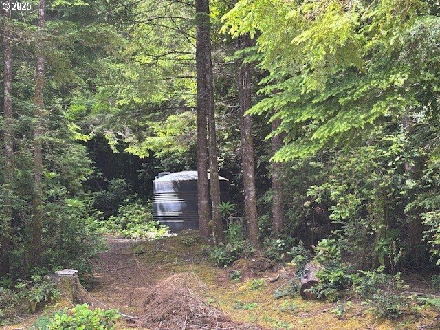 56399 Christopher Road Bandon, OR 97411 - Photo 18 of 34 a big yard with large trees
