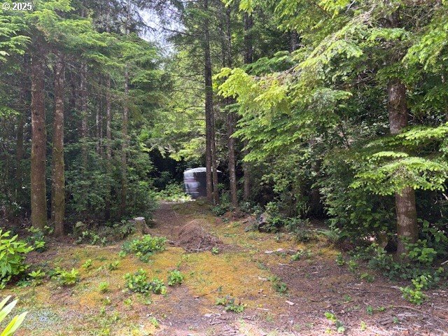 56399 Christopher Road Bandon, OR 97411 - Photo 21 of 34 a pathway of a yard