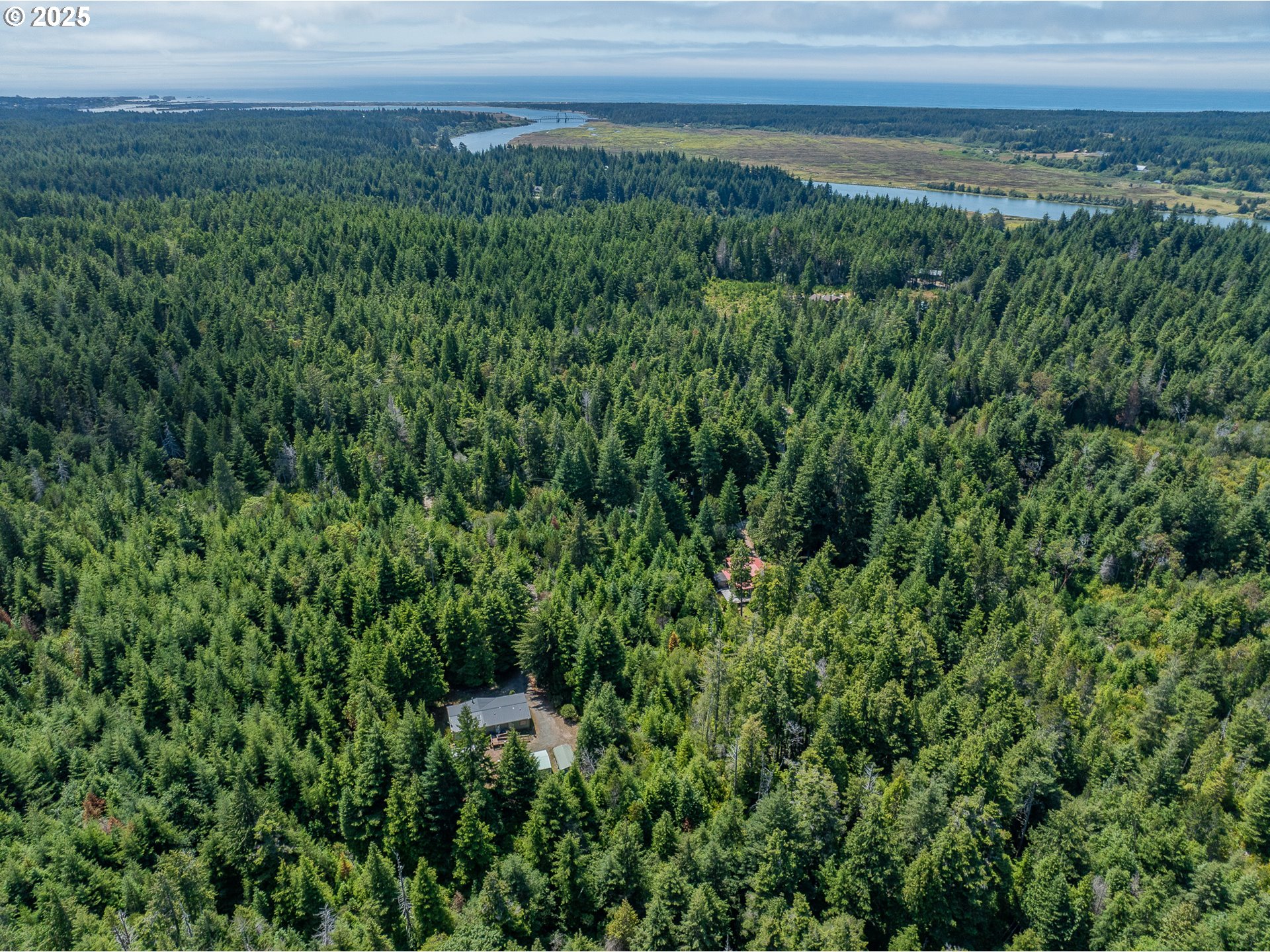 56399 Christopher Road Bandon, OR 97411 - Photo 30 of 34 a view of a lush green forest with a building in the back