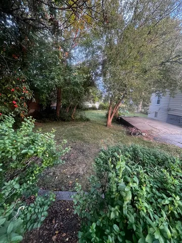 a view of a backyard with large trees