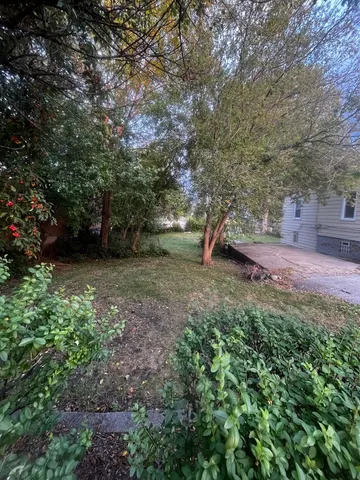 a view of a backyard with large trees