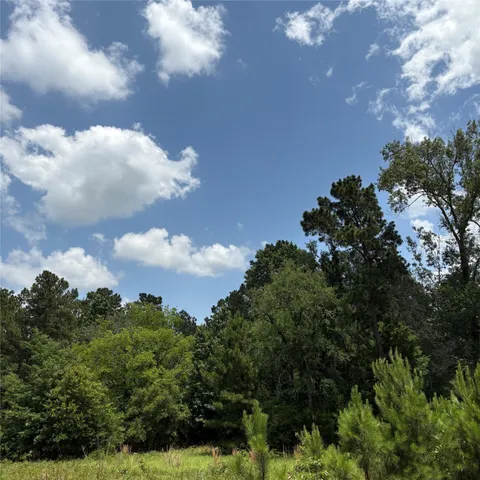 $24,000 | 0 Bay Tree Street, Trinity, TX 75862