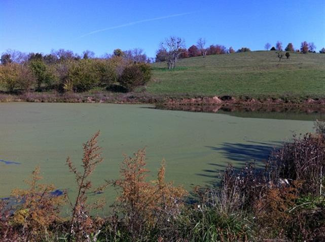 5844 Fords Mill Road Versailles, KY 40383 - Photo 10 of 58 Photo 10