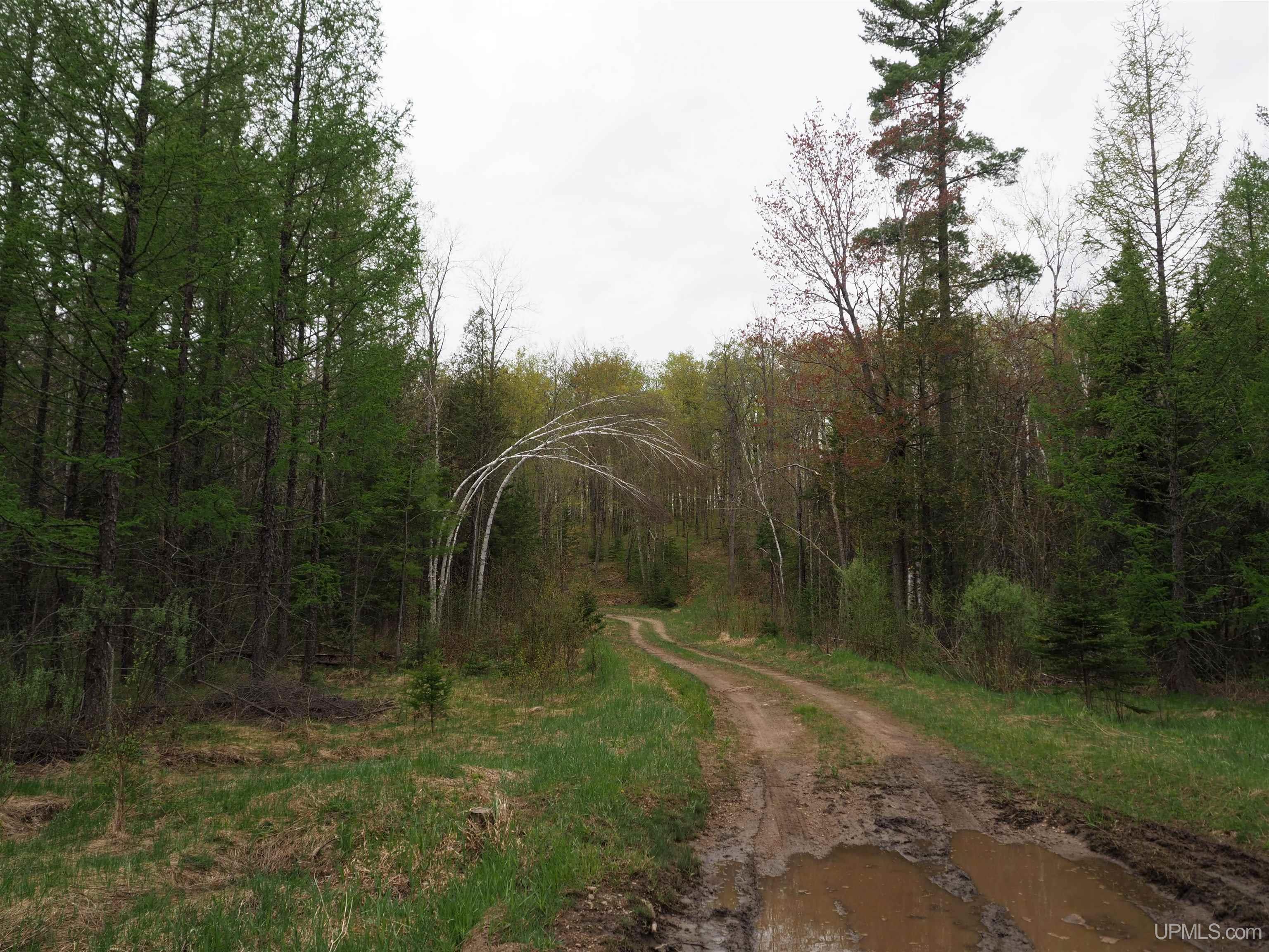 Tbd Vega Road Hermansville, MI 49847 - Photo 12 of 19