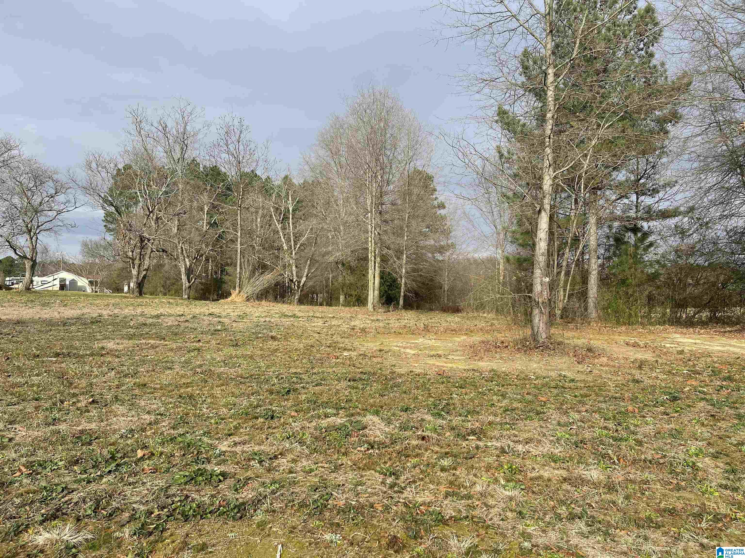 0 Old Eva Road Eva, AL 35621 - Photo 6 of 10