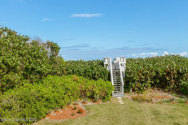 a view of a yard with plants and a building