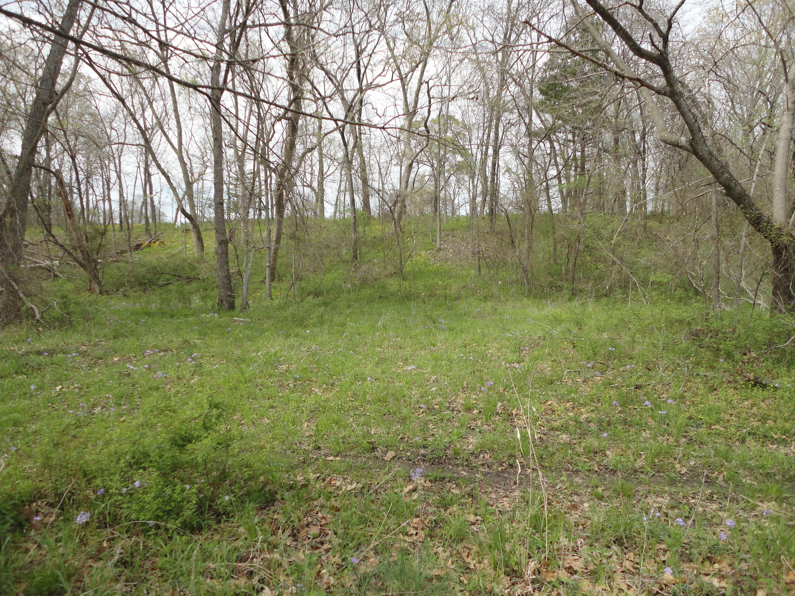 62185-9 270th Rd Grove East Grove, OK 74344 - Photo 16 of 22 DSC03227