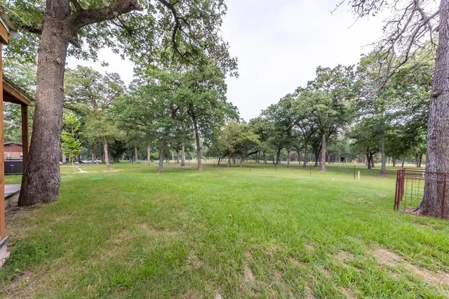 a view of green field