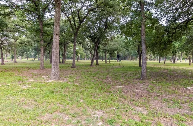 a green field with lots of trees